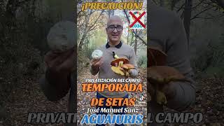 🍄🍁OTOÑO Y TEMPORADA DE SETAS:🍁🍄¡¡¡NO A LOS APROVECHAMIENTOS MICOLÓGICOS CHIRINGUITEROS!!!