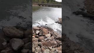 water running into Warren reservoir