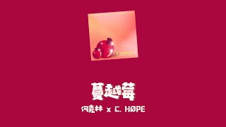 C.HØPE / 何克林 — “蔓越莓”【GSG官方Lyrics/动态歌词】