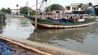 Menangkap Seafood, Menangkap ikan, Menangkap Teri, Mayangan Fishing Week part 14