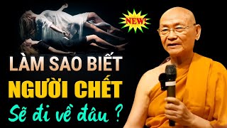 Sau Khi Chết Con Người Sẽ Đi Về Đâu Có TRở Về Nhà Được Không | Hòa Thượng Viên Minh