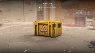 DAY 325 OPENING CS2 CASES UNTIL I GET GOLD!