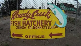 237 Rowdy Creek Fish Hatchery