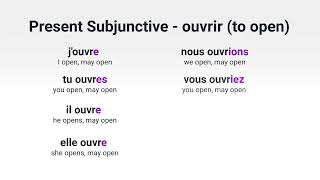 What Is the Present Subjunctive of 'ouvrir' ('to open') in French?