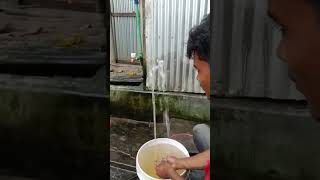 Mini Hai Speed Water Pump। ছোট পাওয়ারফুল পানির পাম্প। #shorts #youtubeshorts