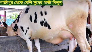 গাজীপুর থেকে বেশি দুধের গাভী নিতে পারেন dairy farm