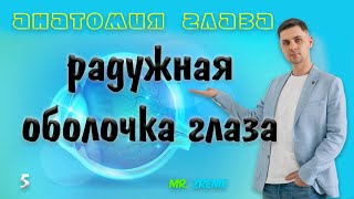 Радужная оболочка глаза