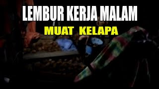 LEMBUR KERJA MALAM #BONGKAR MUAT KELAPA