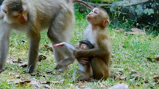 Don't catch me, please help me Mummy! Poor baby Jovi raise hand up for asking mom Help!