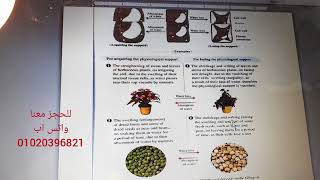 الفرق بين Physiological & Structural support in plants لثالثة ثانوي - د. محمد خالد