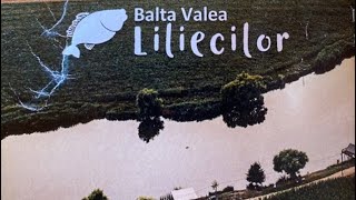 🔴 LIVE | Sunset - Balta Valea Liliecilor - #waitingthebigfish