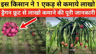 ड्रैगन फ्रूट की खेती कैसे करें | dragon fruit | dragon fruit farming