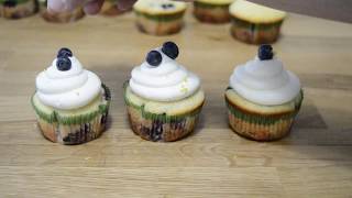 Blueberry Cupcakes