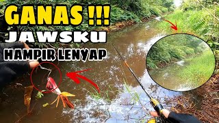 IKAN APA BUAYA !!! RAWA DAN PARIT KECIL INI DIHUNI PARA IKAN MONSTER II CASTING GABUS / HARUAN