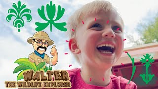 Walter Finds an Old Guitar and Sings the ABC Song | Fun Happy Videos for Kids and Toddlers