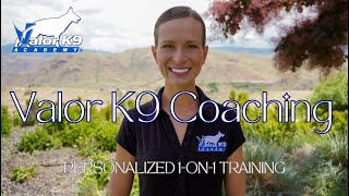 Valor K9 Coaching