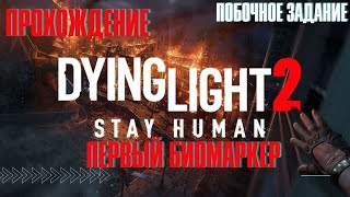 Dying Light 2: Stay Human ➤ побочное задание ➤ Первый биомаркер ➤ PS5