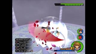 KH2FM LV1 Marluxia Data Speedrun