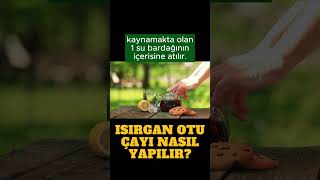 Isırgan otu çayı nasıl yapılır? #shortsvideo