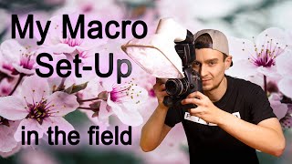 Macro Photography Camera Set-Up: Lens & Lighting [Budget-friendly]