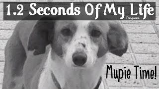 1.2 Seconds Of My Life (Mupie time) #3