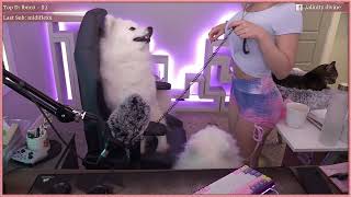 Alinity kisses her "good boy" dog ❤️#alinity #fyp#twitchstreamer #viral #alinityclips #bestoftwitch