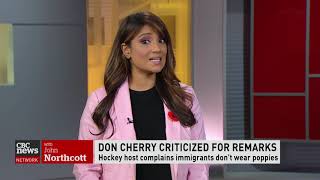 Calls for Don Cherry to be fired after referring to new immigrants as "you people"