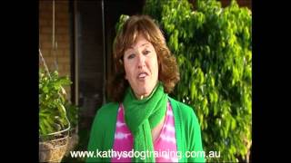 Kathy Kopellis McLeod answers your questions about dog behaviour