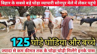 बिहार के सबसे बड़े घोड़ा व्यापारी सोनपुर मेले में लेकर पहुंचे 125 घोड़े घोङिया |Sonpur mela 2024