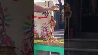 பஞ்சாமிர்தம் தேன் அபிசேகம் #மாணிக்கவாசகர்- #திருவாசக முற்றோதல் #shiva #shiv #shorts #short #song