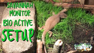 Upgrading to a Bio Active Savannah Monitor Enclosure Setup