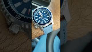 #citizen #citizenpromaster #divingwatch #watches #watchuseek