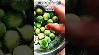 Kantola ki sabji recipe kaise banaye कंटोला की सब्जी कैसे बनाएं Healthy Kakoda vegetable Recipe