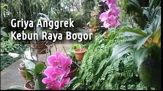 Griya Anggrek Kebun Raya Bogor