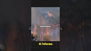 120 fallecidos en Chile por incendios