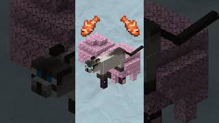 Meme Rabbit Edit #minecraft #phonk #edit