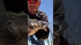 The baby, catfish cat fishing #Fishing,Colorado #FishInDowntownDenver, #Catfishing￼#StarWars ￼￼