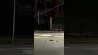 Raccoon crossing the main road