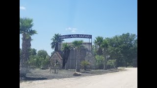 Aggieland Safari