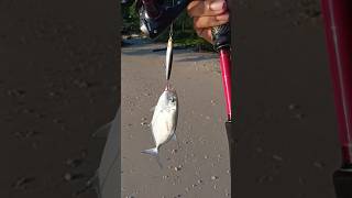 Mancing Casting || Ultralight Fishing