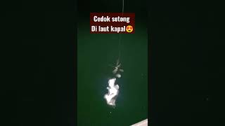 Nampak tak guys sotong naik..??#shorts #short #viral #youtubeshorts #shortvideo #like #laut #nelayan