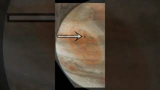 🚀🔴ASTOUNDING! Just Now NASA’s Juno Mission Spots Jupiter’s Tiny Moon Amalthea!✨🌌