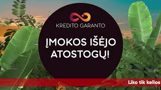 Kredito garantas — paskolų įmokos išeina atostogų