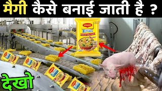 Maggi Making Process | Maggi Kaise Banti Hai