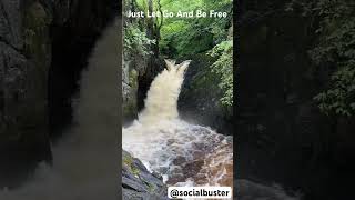 Just let go and be free #shortvideo #nature #naturelandscape #lake #landscapebeauty #travel #viral