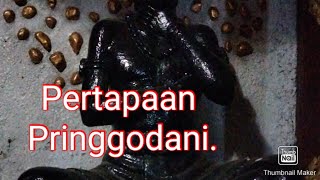 Malam Selasa Kliwon di Pertapaan Eyang Koco Negoro, Pringgodani, Gunung Lawu.