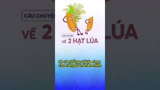 câu chuyện 2 hạt lúa p2 #shorts #baihoccuocsong #câuchuyện