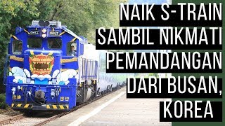 Travel Ke Korea - Naik S Train Sambil Nikmati Pemandangan Dari Busan, Korea Selatan