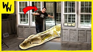 Moving my GIANT Snake into Her BRAND NEW Tiny Home!