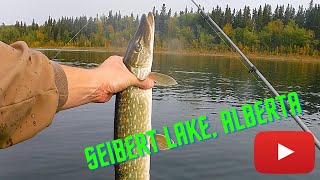 Seibert Lake Alberta Trip.  Campground Review and Fall Fishing!!!